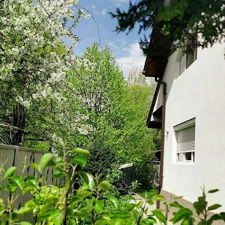 Casa File De Poveste Târgu Jiu Esterno foto