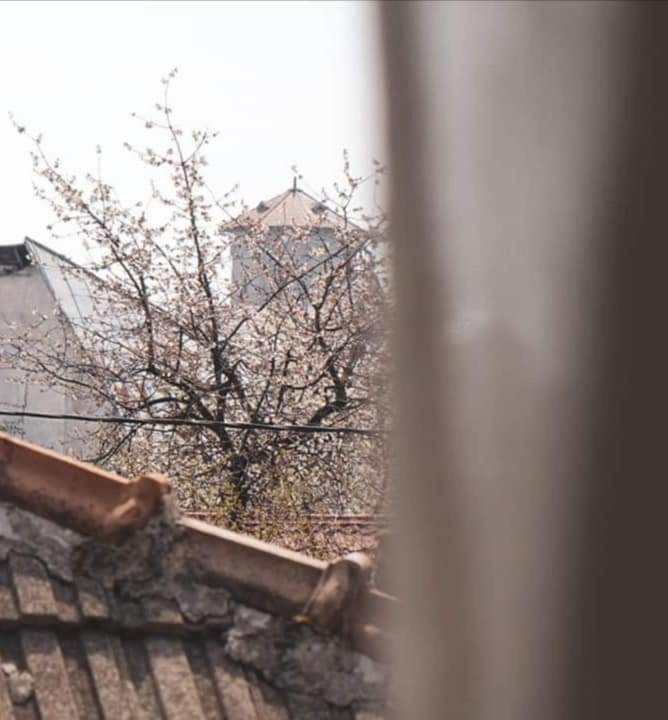 Casa File De Poveste Târgu Jiu Esterno foto