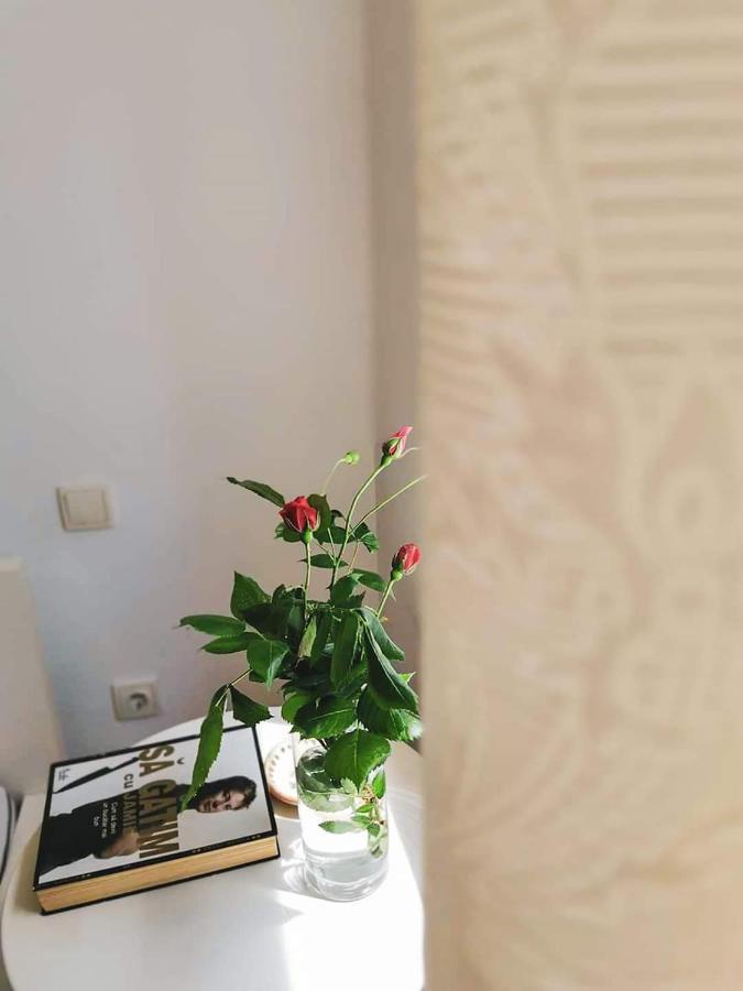 Casa File De Poveste Târgu Jiu Esterno foto