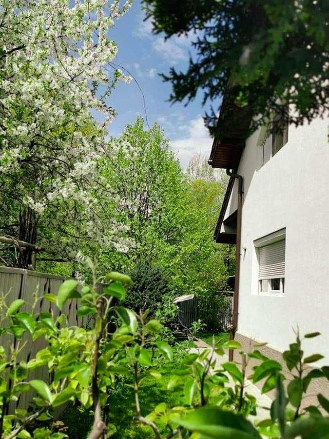 Casa File De Poveste Târgu Jiu Esterno foto