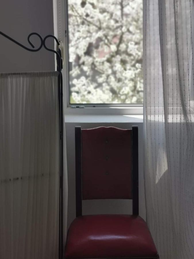 Casa File De Poveste Târgu Jiu Esterno foto