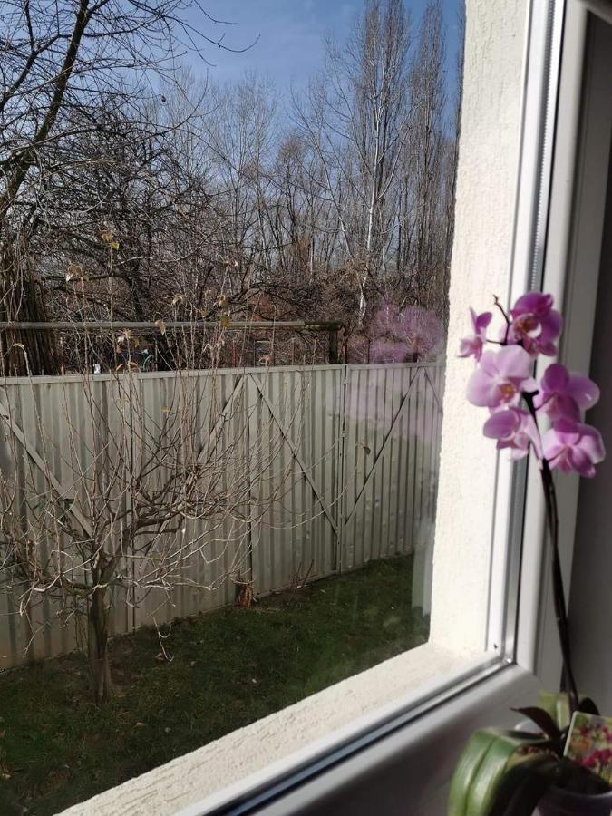 Casa File De Poveste Târgu Jiu Esterno foto