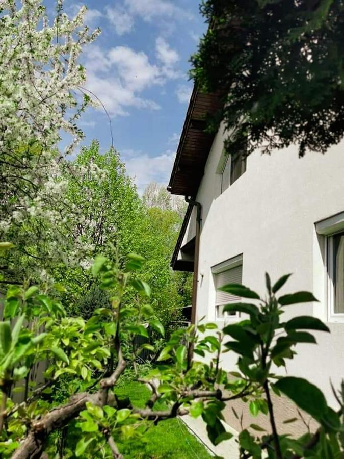 Casa File De Poveste Târgu Jiu Esterno foto