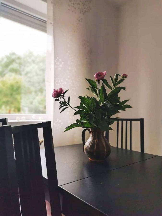 Casa File De Poveste Târgu Jiu Esterno foto
